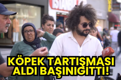 KÖPEK TARTIŞMASI ALDI BAŞINI GİTTİ