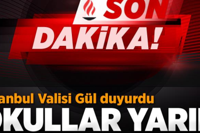 Kar yağışı Tatili