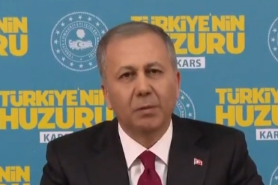 Sahipsiz Köpekler Toplanacak